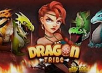tribe dragon nolimit